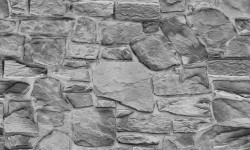 Etiam dictum egestas