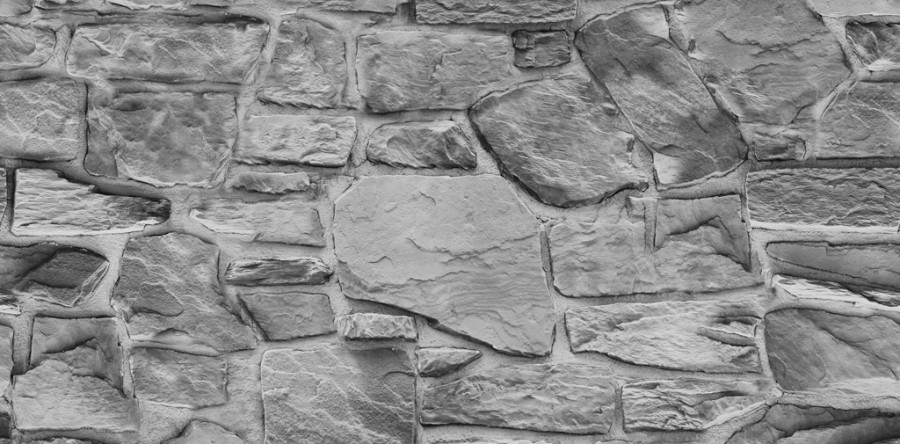 Etiam dictum egestas